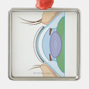 Adorno Metálico Lente de contacto suave