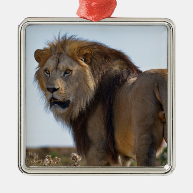 Adorno Metálico León de pie entre la vegetación y visto desde atrá (Frente)