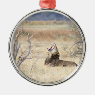 Adorno Metálico León de Yawning