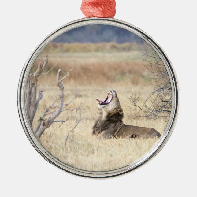 Adorno Metálico León de Yawning (Frente)