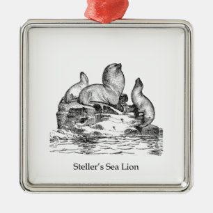 Adorno Metálico León marino de Steller