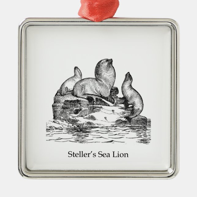 Adorno Metálico León marino de Steller (Frente)