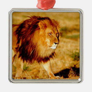 Adorno Metálico León Solitario