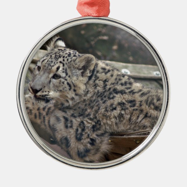 Adorno Metálico Leopardo de la nieve (Frente)