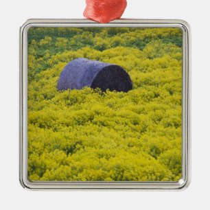 Adorno Metálico Letonia, Noreste de Letonia, Región de Vidzeme, 2