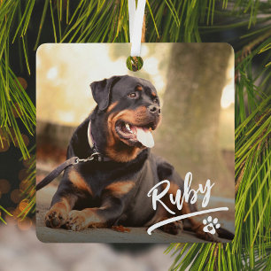 Adorno Metálico Letras Divertidas Foto de Mascota Navidad