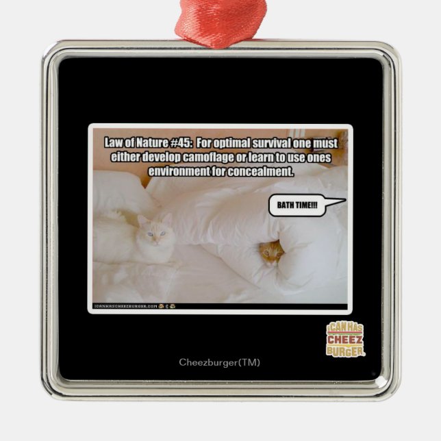 Adorno Metálico Ley de la Naturaleza Nº 45 (Frente)