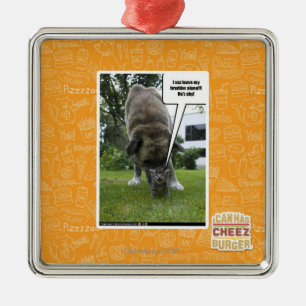 Adorno Metálico Licencia del sez I mi brudder solamente