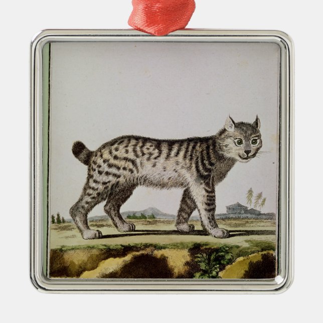 Adorno Metálico Lince canadiense (Frente)