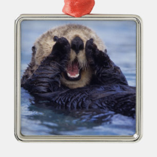Adorno Metálico Linda nutria marina   Alaska, EE. UU.