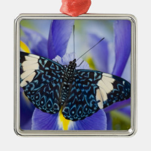 Adorno Metálico Lirio Morado de Mariposa Tropical