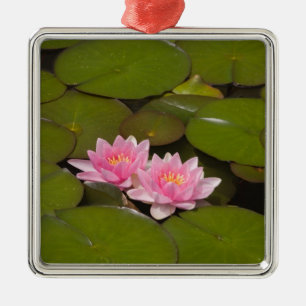 Adorno Metálico Lirios de agua en flor