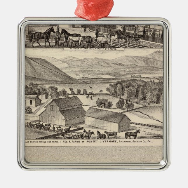 Adorno Metálico Livermore, residencias de Bardellini, granjas, (Frente)