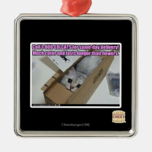 Adorno Metálico Llamada 1-800-LOLCATS