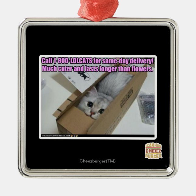 Adorno Metálico Llamada 1-800-LOLCATS (Frente)