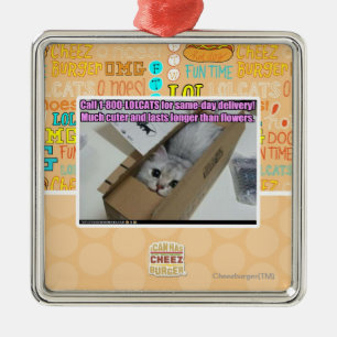 Adorno Metálico Llamada 1-800-LOLCATS