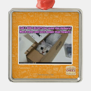 Adorno Metálico Llamar al 1-800-LOLCATS