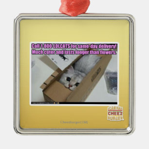 Adorno Metálico Llame al 1-800-LOLCATS