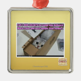 Adorno Metálico Llame al 1-800-LOLCATS