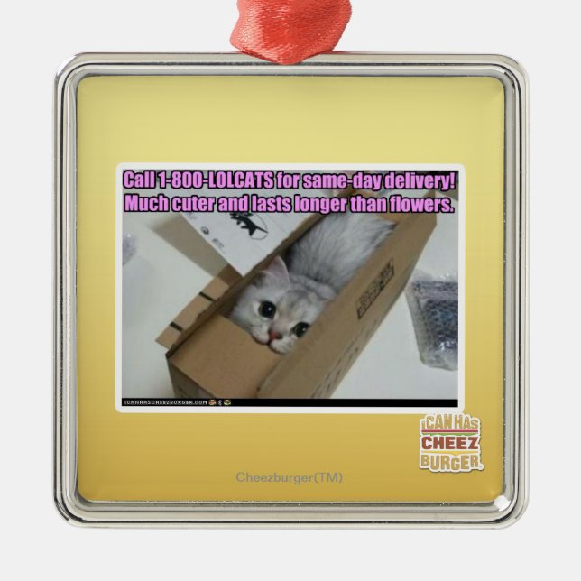 Adorno Metálico Llame al 1-800-LOLCATS (Frente)