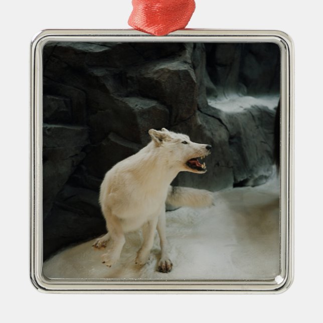 Adorno Metálico Lobo blanco (Frente)