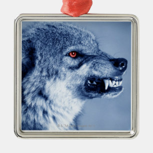 Adorno Metálico Lobo del gruñido (lupus de Canis), perfil (Digita