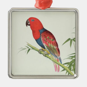 Adorno Metálico Loro de Electus, en un brote de bambú