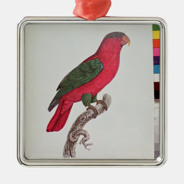 Adorno Metálico Loro: Lory o collardo (Frente)