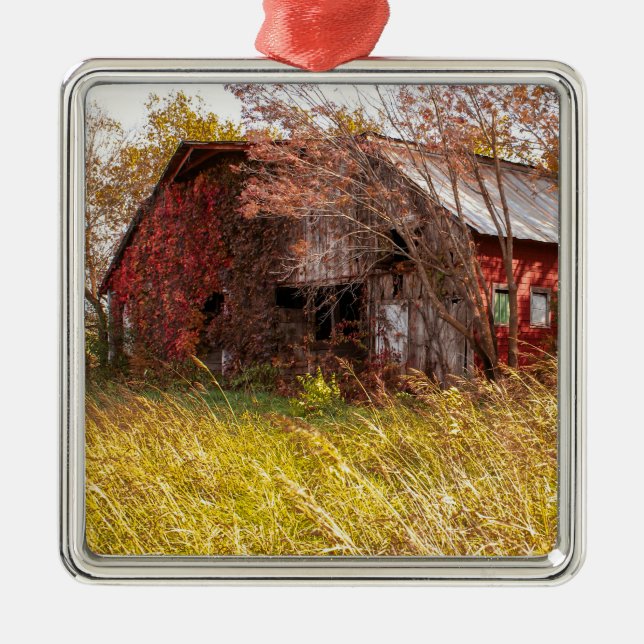 Adorno Metálico Los buenos viejos días de la agricultura (Frente)