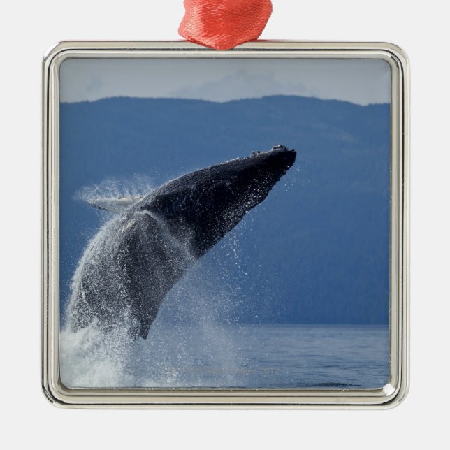 Adorno Metálico Los E.E.U.U., Alaska, Angoon, ballena jorobada (Frente)