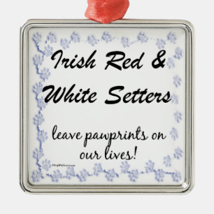 Adorno Metálico Los encargados irlandeses dejan huellas de aletas