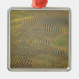 Adorno Metálico Los guisantes de lentejas vendían y estaban esper