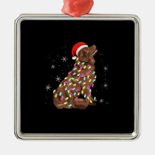 Adorno Metálico Luz de Navidades de Terranova Divertido Perro Lo