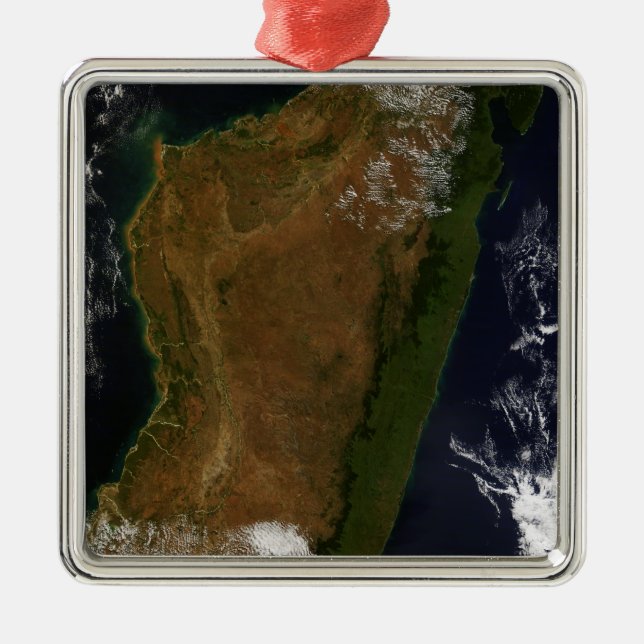 Adorno Metálico Madagascar (Frente)