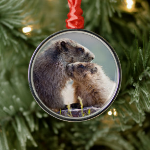 Adorno Metálico Madre marmota con bebé