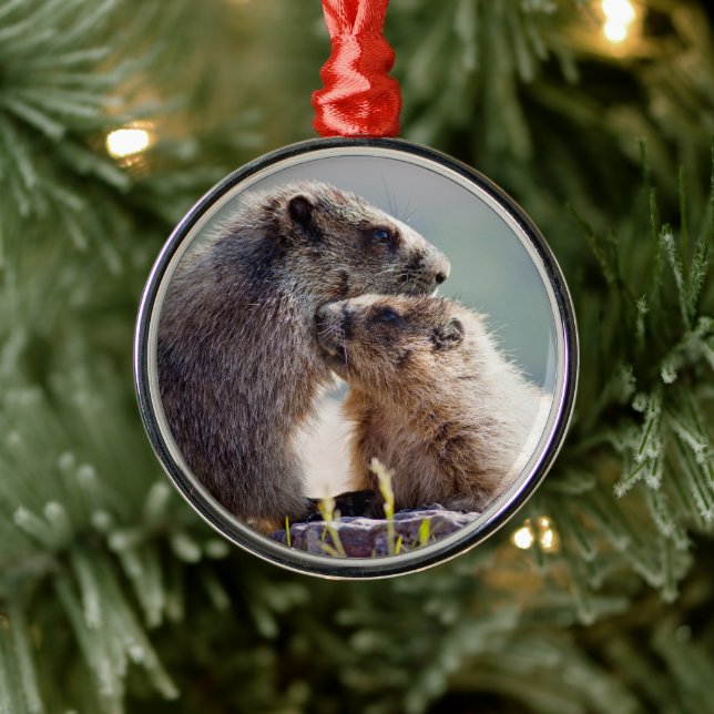 Adorno Metálico Madre marmota con bebé (Árbol)