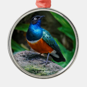 Adorno Metálico Magnífico sonámbulo Songbird