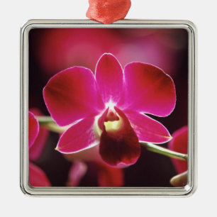 Adorno Metálico Malasia, Orquídea