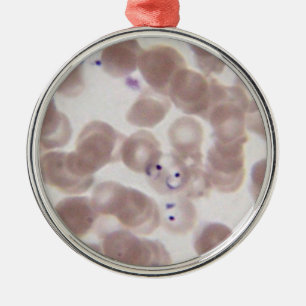 Adorno Metálico Mancha de la sangre de la malaria (Plasmodium)