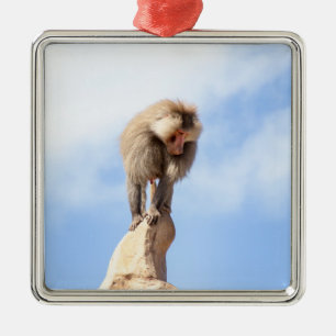 Adorno Metálico Mandrill en la cima de una montaña