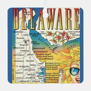Adorno Metálico Mapa Antiguo de Delaware 