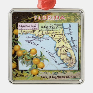 Adorno Metálico Mapa de la Florida del vintage