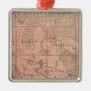 Adorno Metálico Mapa del condado de Meeker, Minnesota