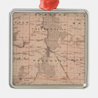 Adorno Metálico Mapa del condado de Steele, Minnesota