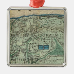 Adorno Metálico Mapa sanitario y topográfico de New York City