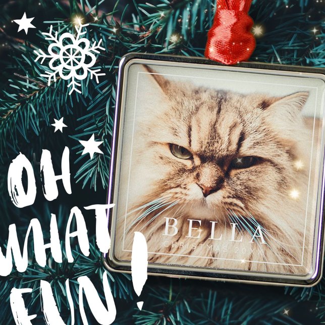 Adorno Metálico Marco simple Moda moderna Mascota familiar foto va (Subido por el creador)