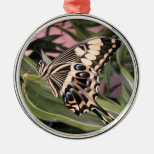 Adorno Metálico Mariposa Cola de Golondrina
