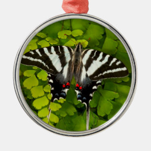 Adorno Metálico Mariposa cola de golondrina americana
