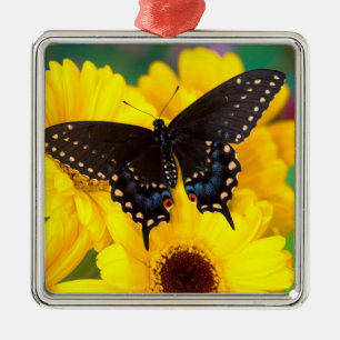 Adorno Metálico Mariposa cola de golondrina negra