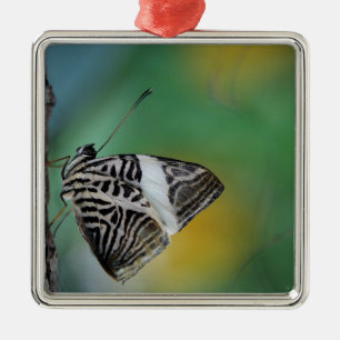 Adorno Metálico Mariposa de tigre blanco y negro